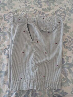 Polo Ralph Lauren Seersucker Shorts Men’s 36 Texas Print Blue White Embroidered